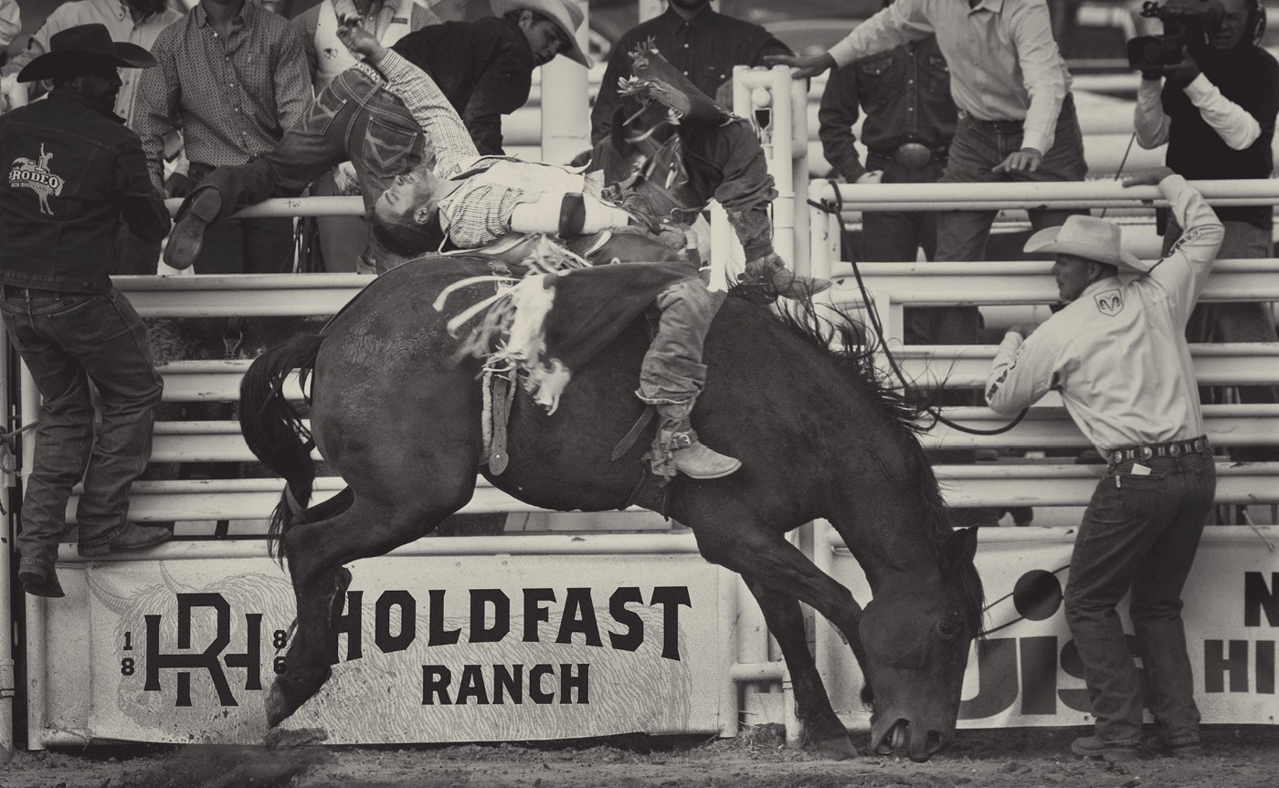 Holdfast Ranch brand application 13