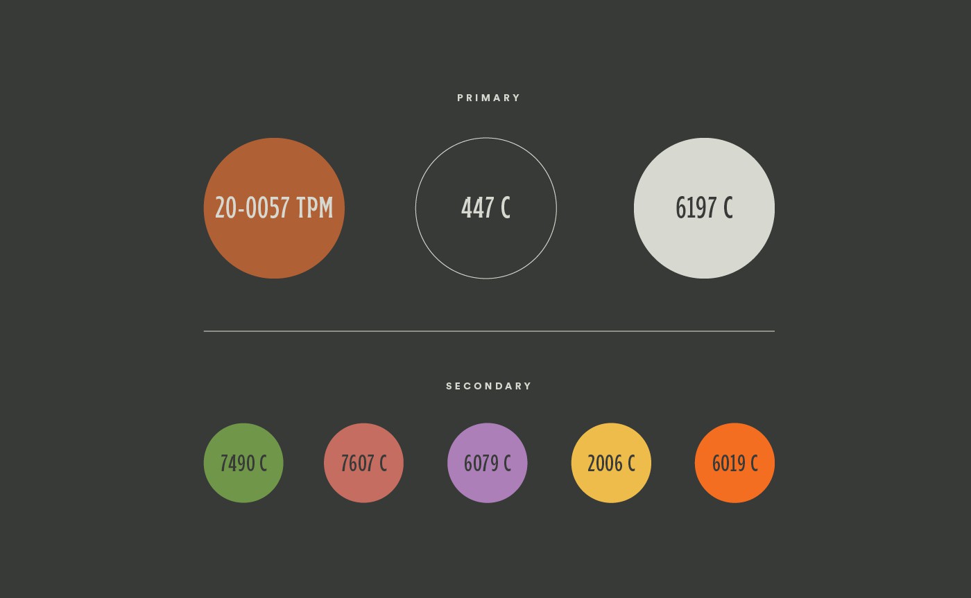 Kimia Wellness color palette