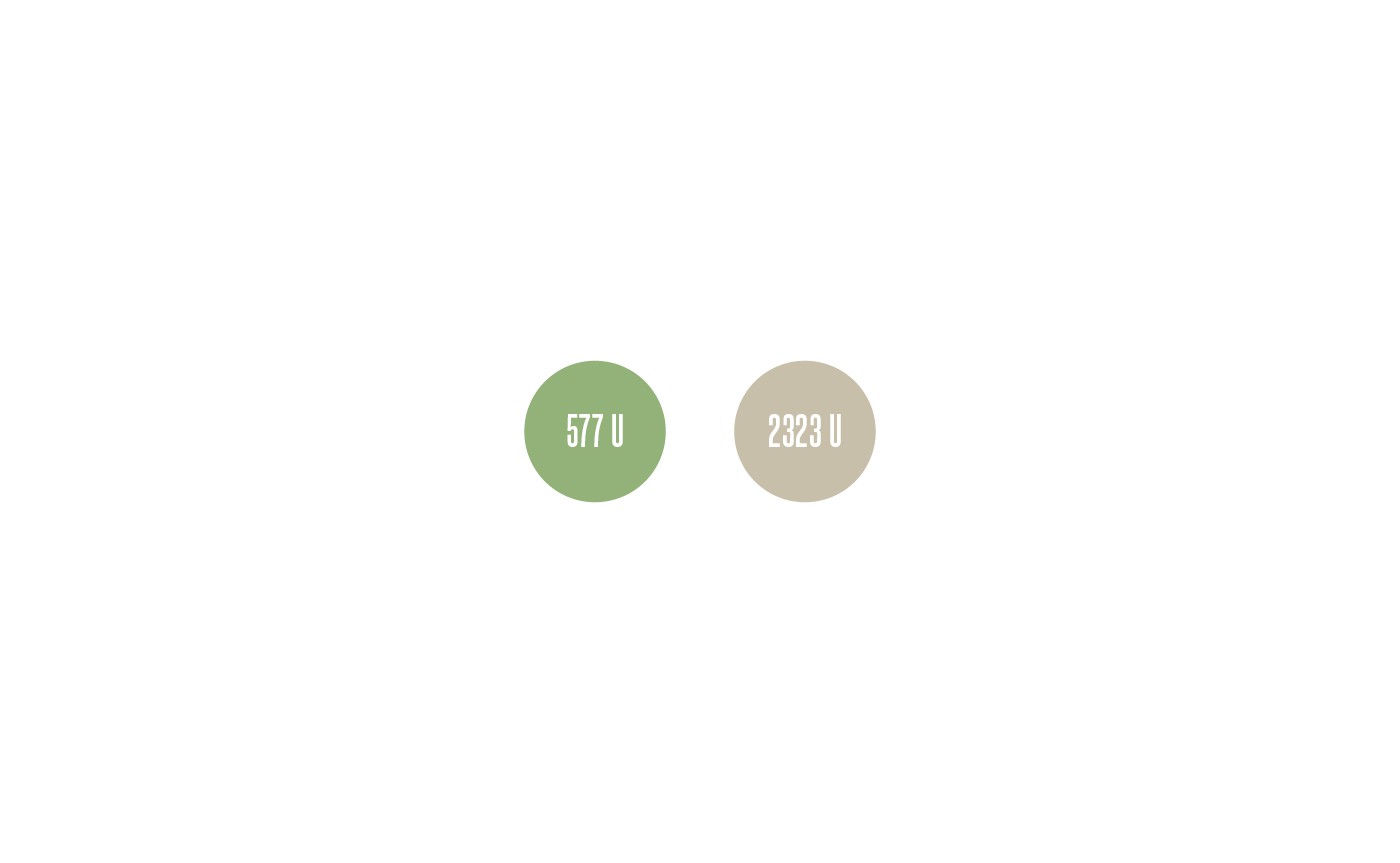 Toasted Tours color palette