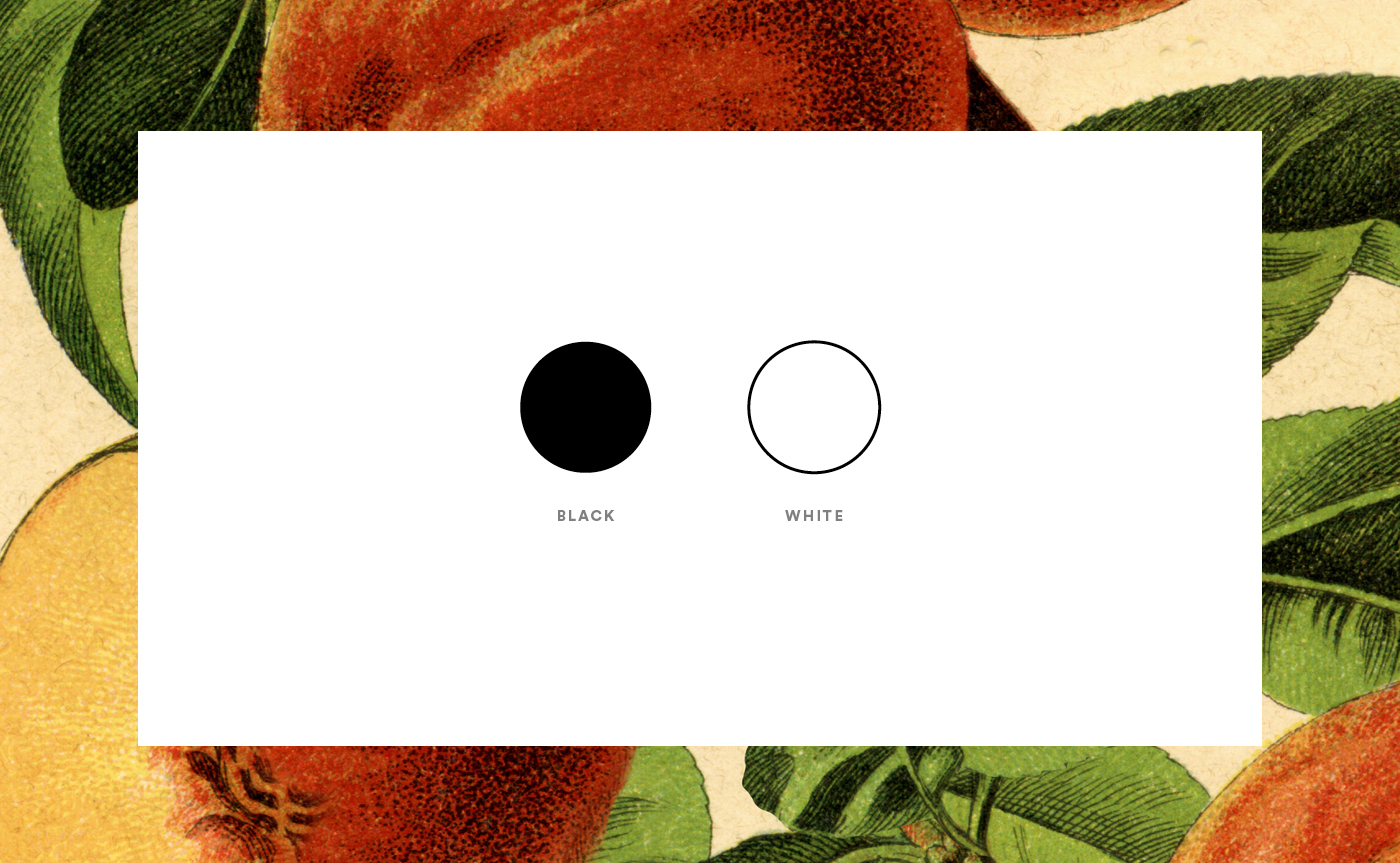 Whoa Nelly catering branding example
