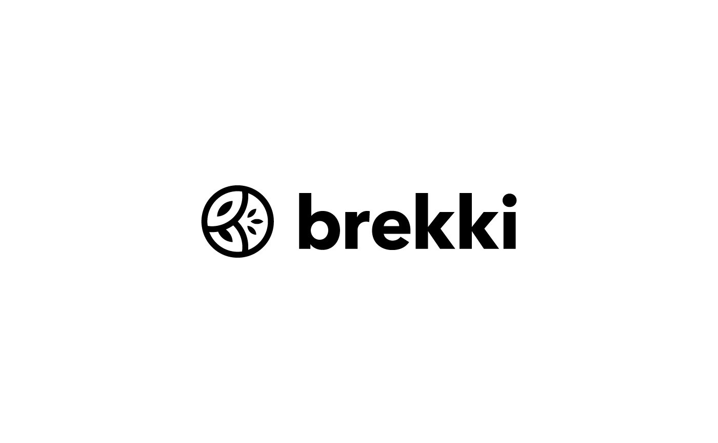 Brekki horizontal logo design