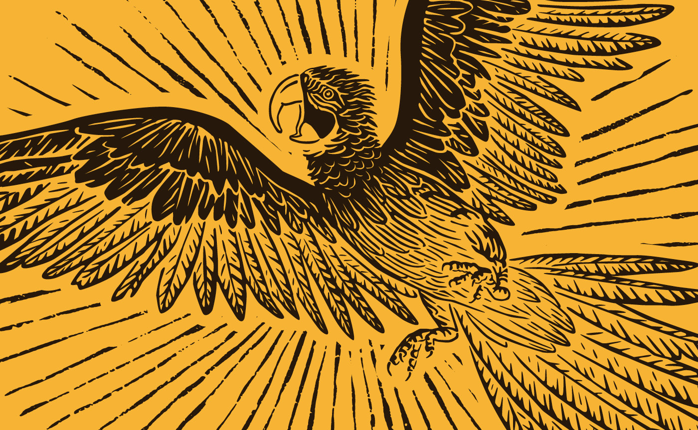 Buena Cerveza illustration detail